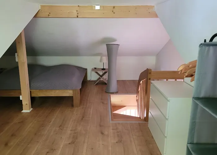 Im Stadtzentrum Apartment